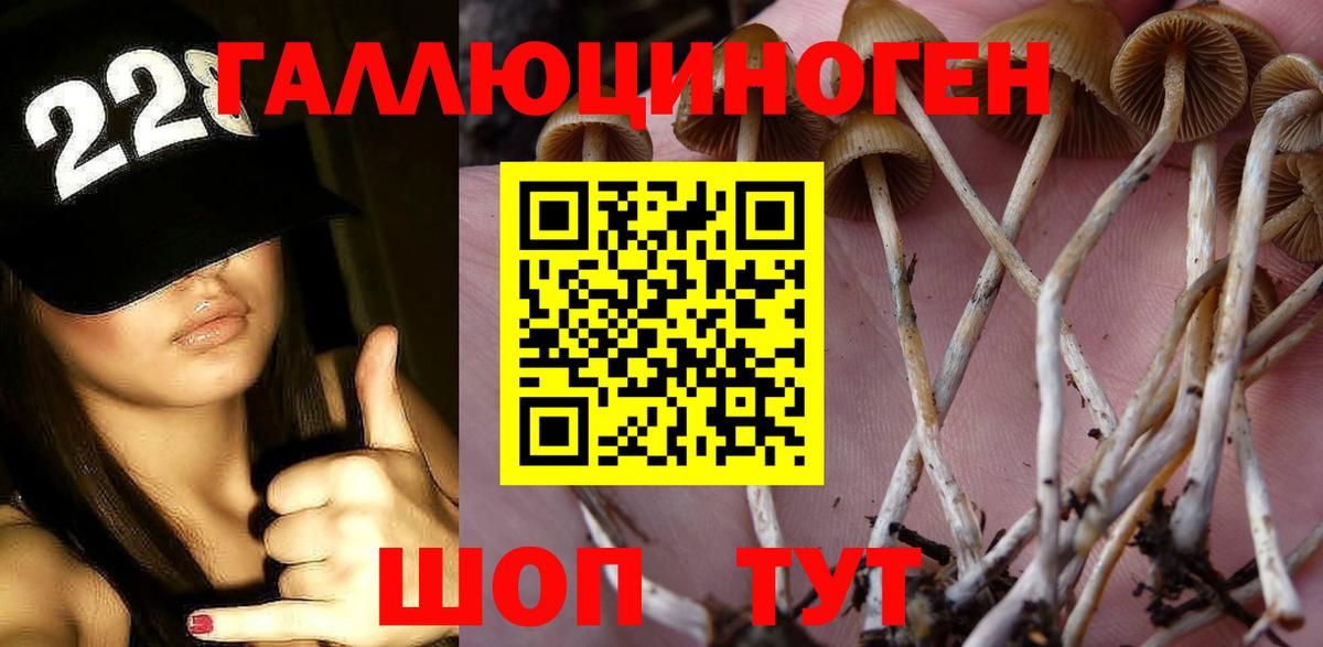 Ейск  Галлюциногенные грибы Psilocybine cubensis  Вход с VPN 