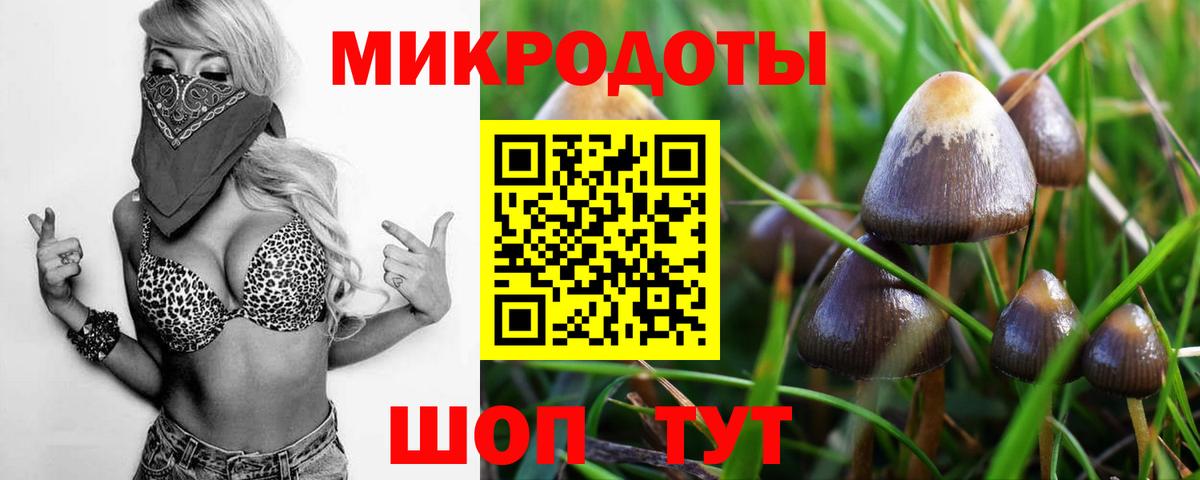 ГАШИШ Ейск